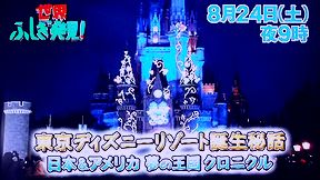 8月24日放送 世界ふしぎ発見 の玲奈ちゃん映像が心配です テレビっ子のブログbyモモ